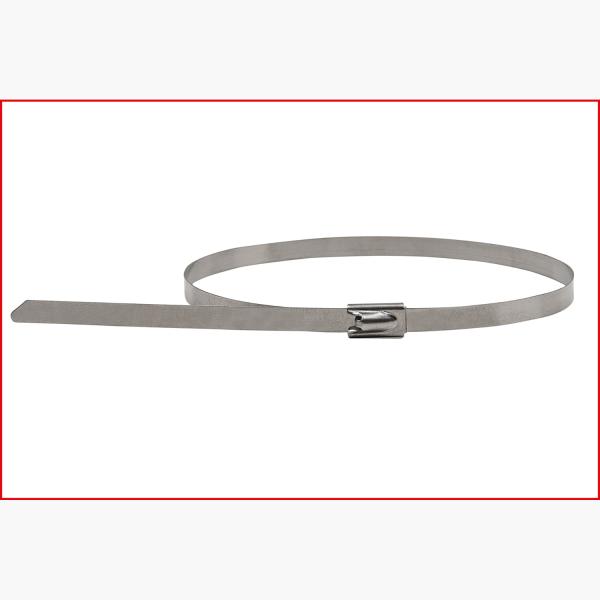 Edelstahl Kabelbinder mit Kugelverschluss, 4,6x500mm, 100 Stück