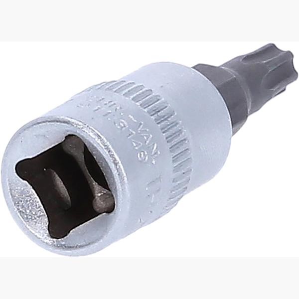 1/4" Bit-Stecknuss TorxPlus, IP25