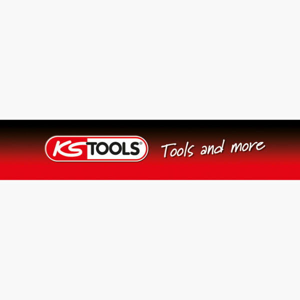 FOT_PRO_ALG_FAN_1007_SALL_AING_V1
