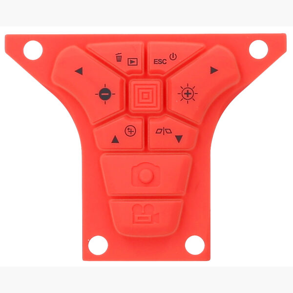 FOT_PRO_ALG_550.7999-R007P_SALL_AING_V1