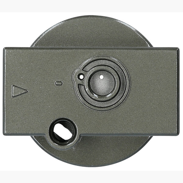 FOT_PRO_ALG_515.3356-R026P_SALL_AING_V1