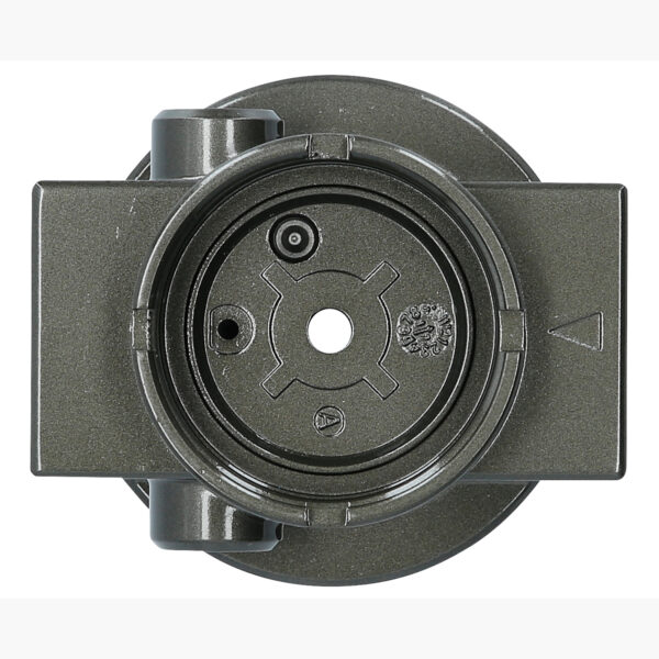 FOT_PRO_ALG_515.3356-R013P_SALL_AING_V1