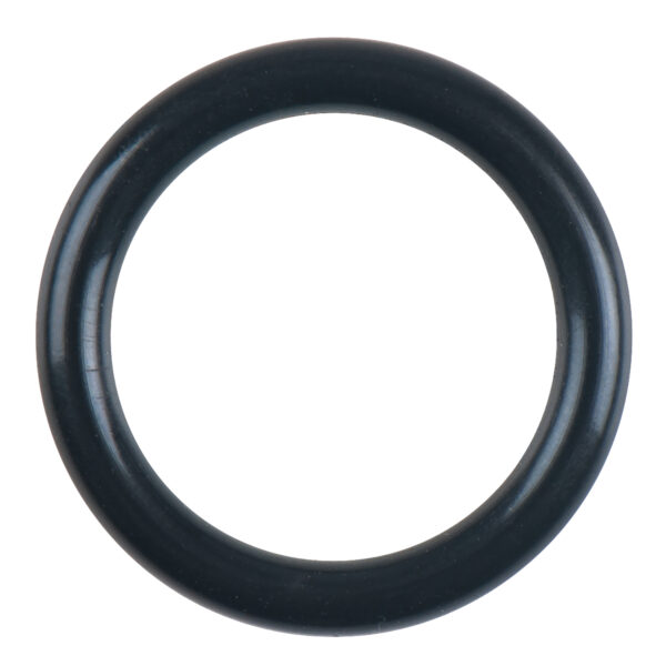 FOT_PRO_ALG_515.1200-R043P_SALL_AING_V1