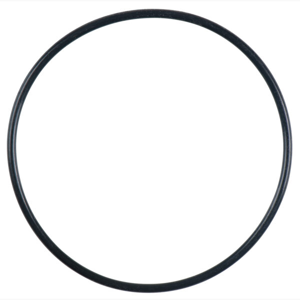 FOT_PRO_ALG_515.1200-R022P_SALL_AING_V1