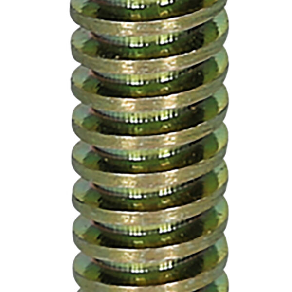 FOT_PRO_ALG_460.4913_SALL_AING_V1