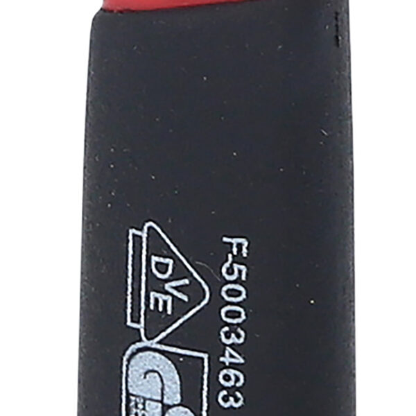 FOT_PRO_ALG_118.1509_SALL_AING_V1
