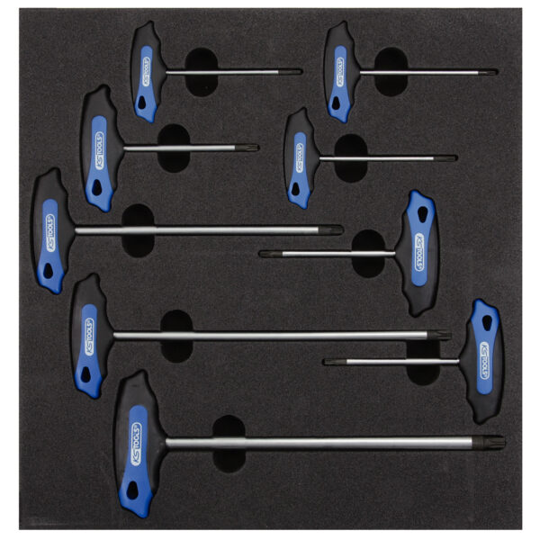 FOT_PRO_ALG_EINR_818.2351_SALL_AING_V1