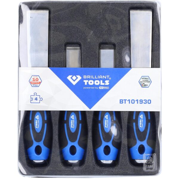 FOT_PRO_VAR_BT101930.1_SALL_AING_V1