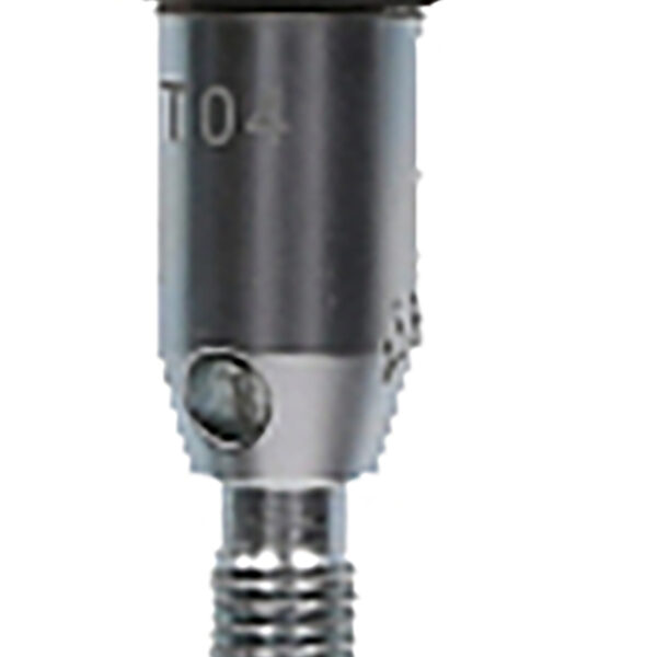 FOT_PRO_ALG_AUTO_460.0908_SALL_AING_V1