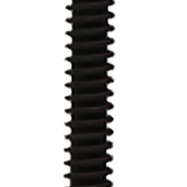 FOT_PRO_ALG_AUTO_460.0892_SALL_AING_V1