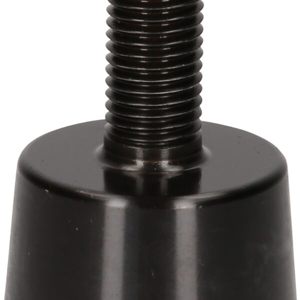 FOT_PRO_ALG_460.4282_SALL_AING_V1