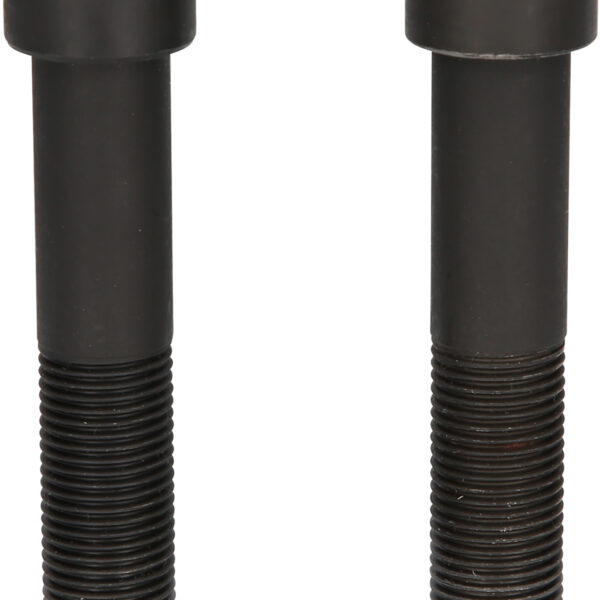 FOT_PRO_ALG_460.3786_SALL_AING_V1