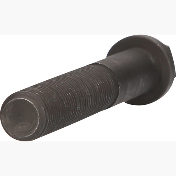 FOT_PRO_ALG_460.3748_SALL_AING_V1