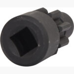 FOT_PRO_VAR_455.0070.2_SALL_AING_V1