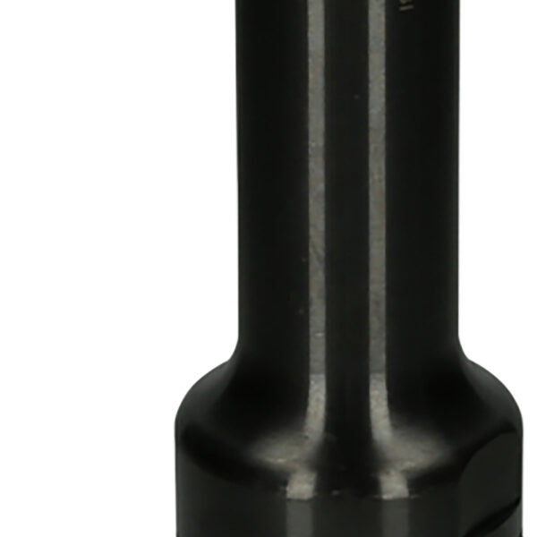 FOT_PRO_ALG_515.5415_SALL_AING_V1