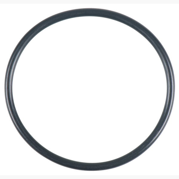 FOT_PRO_ALG_515.4880-R017P_SALL_AING_V1