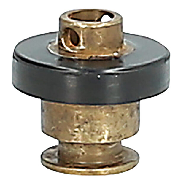 FOT_PRO_ALG_515.3350-R017P_SALL_AING_V1