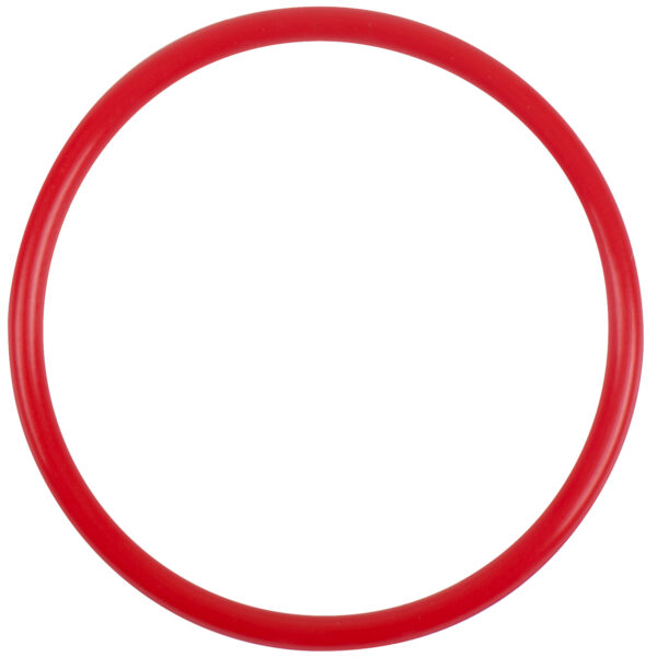 FOT_PRO_ALG_515.3063-R035P_SALL_AING_V1