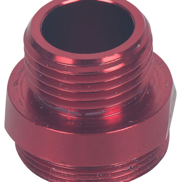 FOT_PRO_ALG_DRLU_515.1980-R031P_SALL_AING_V1