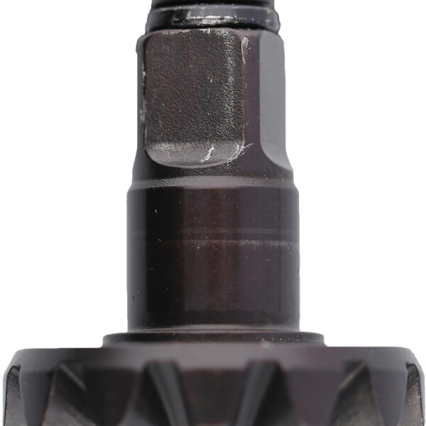 FOT_PRO_ALG_DRLU_515.1625-R006P_SALL_AING_V1