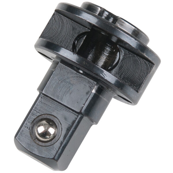 FOT_PRO_ALG_515.1185-R048P_SALL_AING_V1