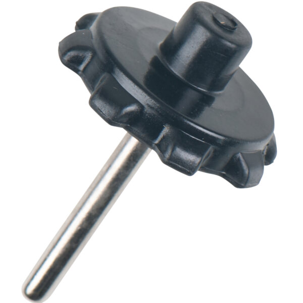 FOT_PRO_ALG_515.1185-R034P_SALL_AING_V1