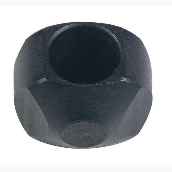 FOT_PRO_ALG_515.1185-R002P_SALL_AING_V1