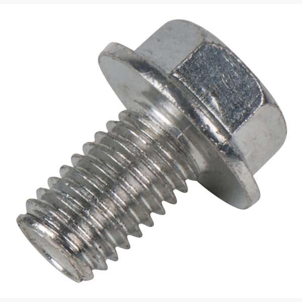 FOT_PRO_ALG_DRLU_161.0365-R037P_SALL_AING_V1