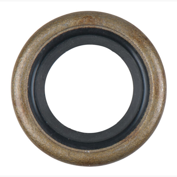 FOT_PRO_ALG_DRLU_152.1061-R033P_SALL_AING_V1