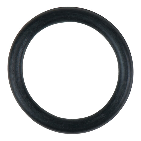 FOT_PRO_ALG_DRLU_152.1061-R024P_SALL_AING_V1