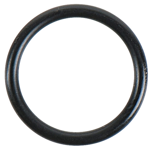 FOT_PRO_ALG_DRLU_150.1653-R017P_SALL_AING_V1