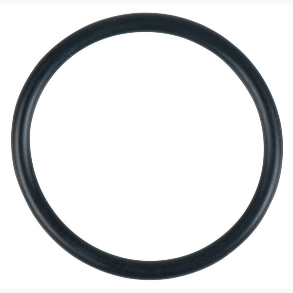 FOT_PRO_ALG_122.1285-R018P_SALL_AING_V1