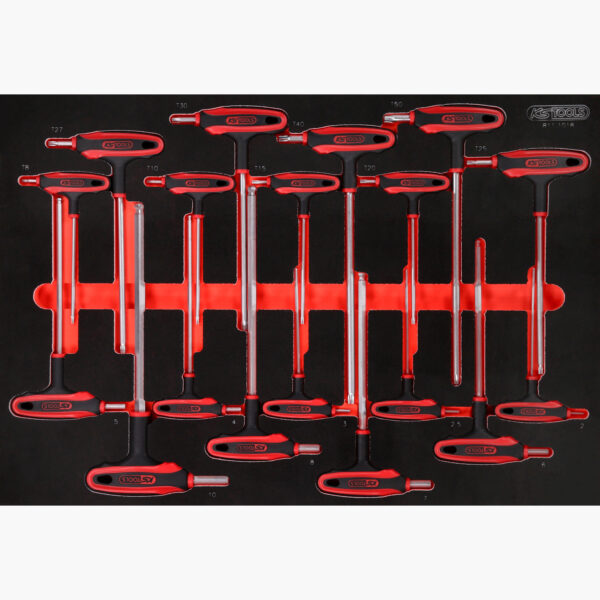 FOT_PRO_ALG_811.1018_SALL_AING_V1