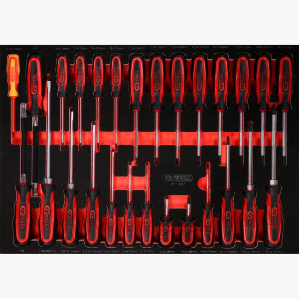 FOT_PRO_ALG_811.0027_SALL_AING_V1
