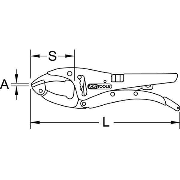 TECHZEI_115.1038_SALL_AQU_V1