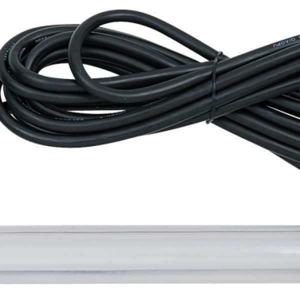 FOT_PRO_ALG_WZAL_550.1371_SALL_AING_V1