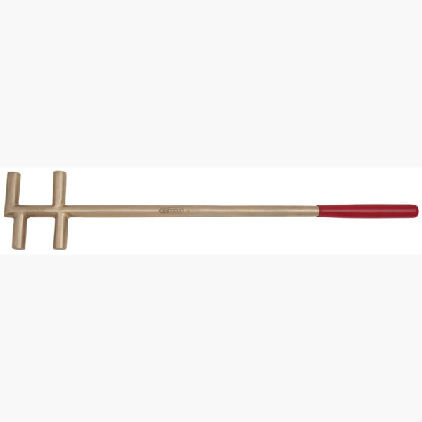 FOT_PRO_ALG_SCHL_963.8228_SALL_AING_V1