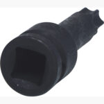 FOT_PRO_VAR_911.0920.2_SALL_AING_V1