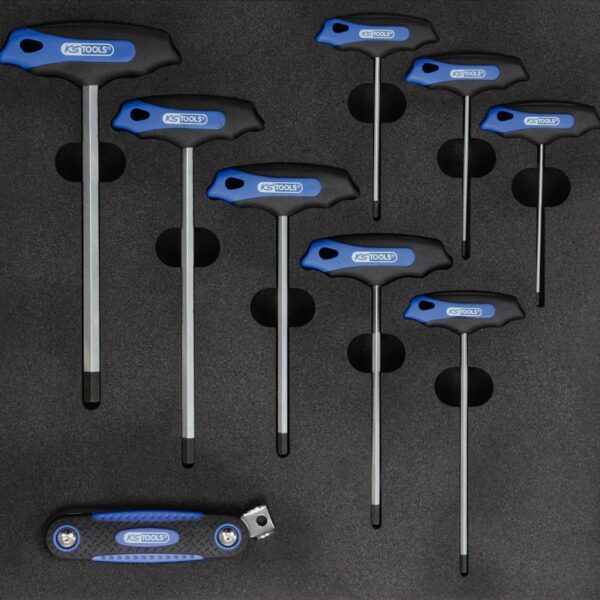 FOT_PRO_ALG_EINR_818.2352_SALL_AING_V1