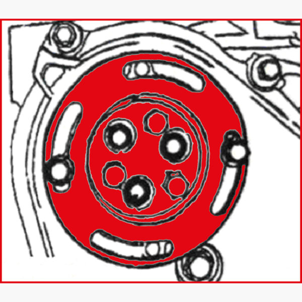 FOT_ANW_ALG_AUTO_700.1905.AW1_SALL_AING_V1