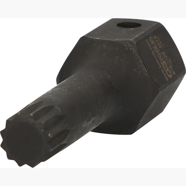 FOT_PRO_ALG_515.1162_SALL_AING_V1