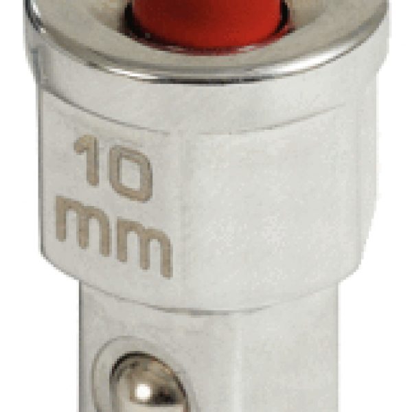 FOT_PRO_ALG_SCHL_503.4996_SALL_AING_V1