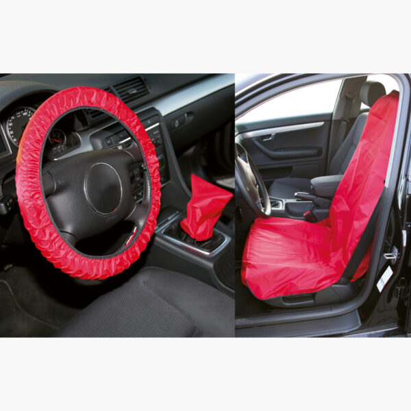 FOT_PRO_ALG_AUTO_500.8025_SALL_AING_V1