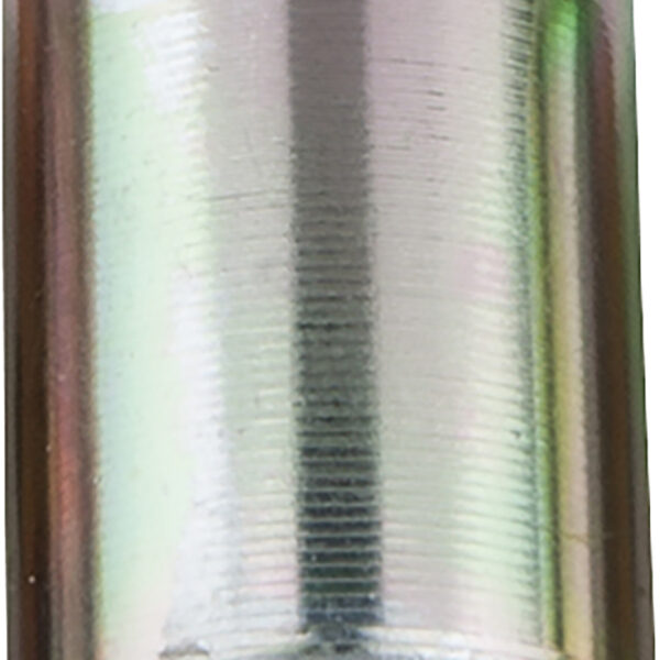 FOT_PRO_ALG_AUTO_455.238X(4-9)_SALL_AING_V1
