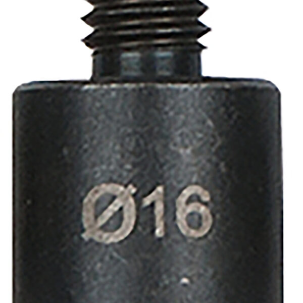 FOT_PRO_ALG_AUTO_455.0185_SALL_AING_V1