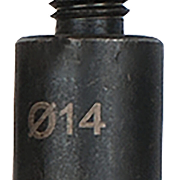 FOT_PRO_ALG_AUTO_455.0183_SALL_AING_V1