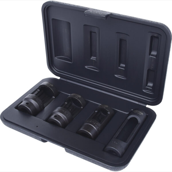 FOT_PRO_ALG_455.0030_SALL_AING_V1