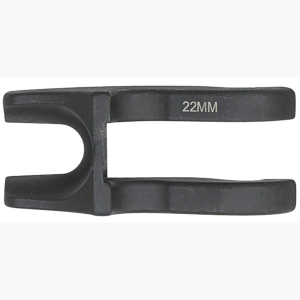 FOT_PRO_ALG_AUTO_450.0974_SALL_AING_V1