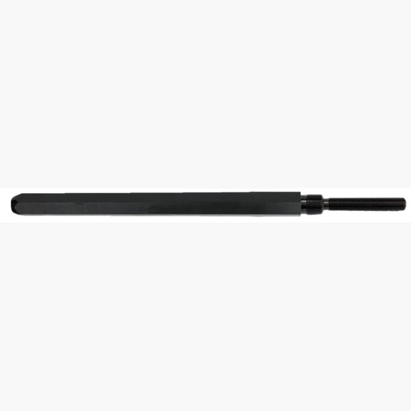 FOT_PRO_ALG_AUTO_450.0083_SALL_AING_V1