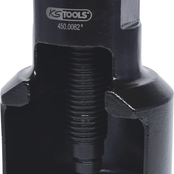FOT_PRO_ALG_450.0062_SALL_AING_V1